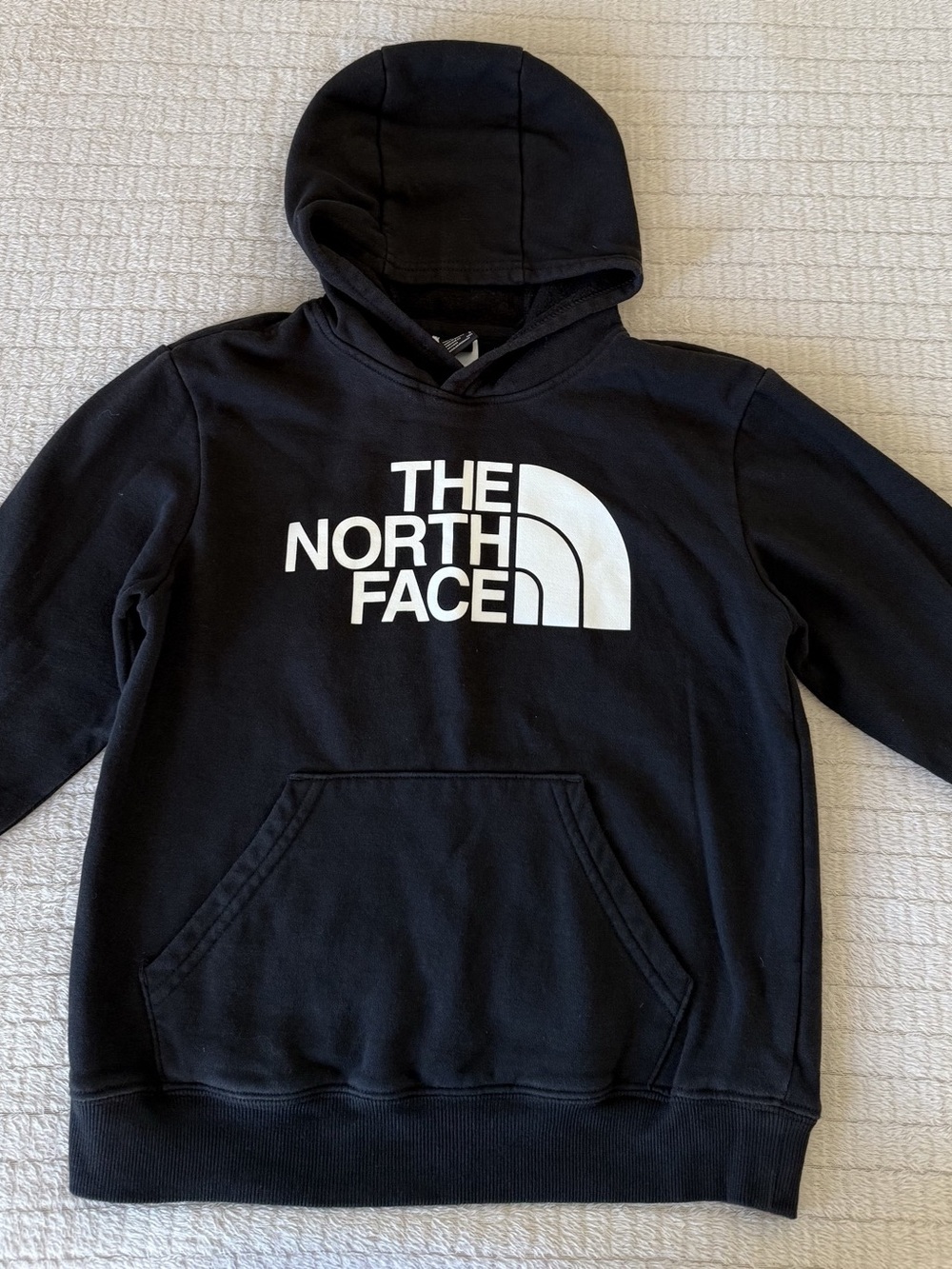 The North Face Circular Design Tenacious Hoodie Logo Hoodie Black Large
